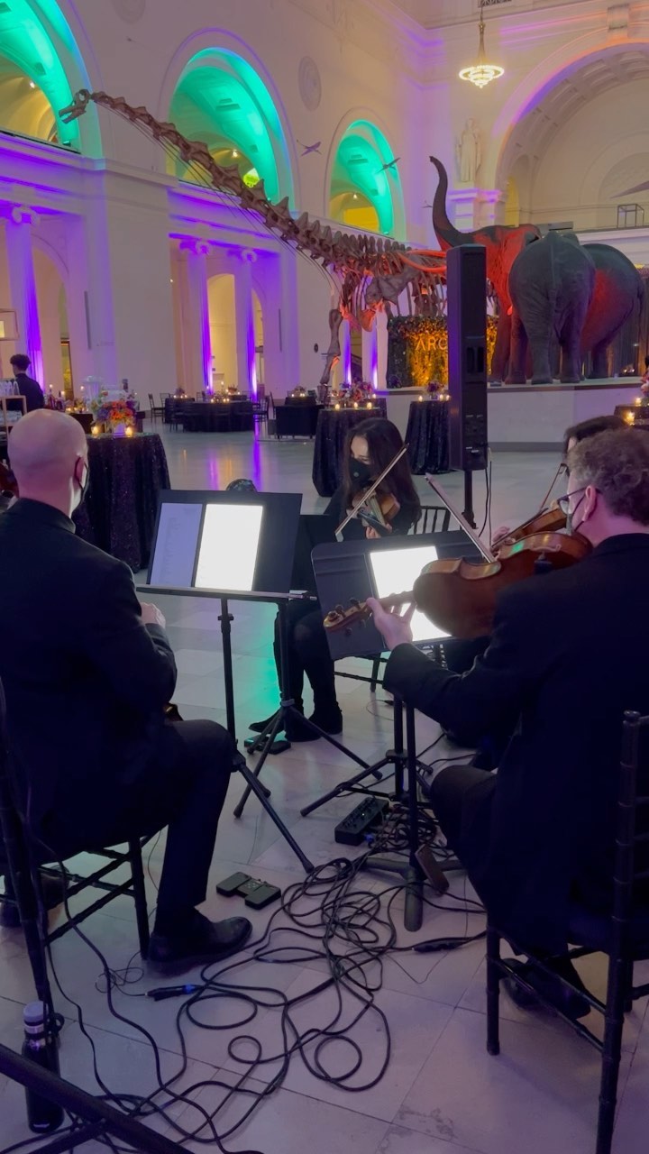 Artistrings pop quartet had so much fun playing for Arcadia’s guests last night at the Field Museum. What a joy to be back in this magnificent space! Also, we’re pretty much loving this new Harry Styles tune 🥰
.
.
.
latenighttalking latenighttalkingharrystyles harrystylescover popstringquartet chicagopopstrings chicagopopstringquartet chicagocorpporatemusic chicagocorporateentertainment chicagolivemusic artistrings artistringschicago popstrings popstringcovers corporateentertainment corporatemusic fieldmuseum fieldmuseumchicago fieldmuseumspecialevents latenighttalkingcover stringquartet stringquartetcovers stringquartets chicagostringquartet chicagostrings