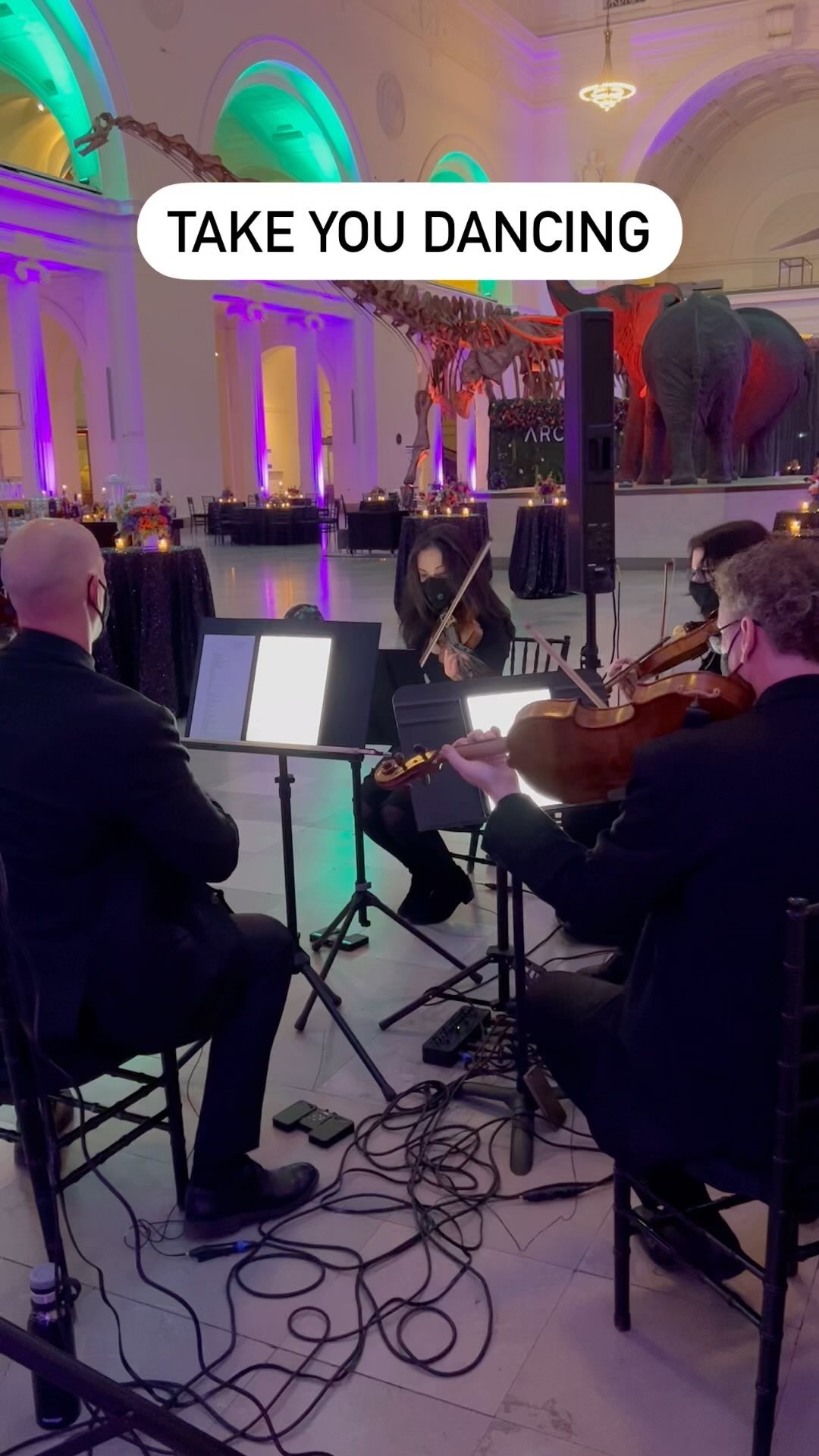 Artistrings Pop Quartet taking this Jason Derulo tune for a spin in iconic Stanley Field Hall 🦕
.
.
.
takeyoudancing jasonderulo strings stringcover popstrings popstringquartet artistrings artistringschicago stringquartet stringquartetcovers fieldmuseum fieldmuseumchicago chicagocorporateevents chicagocorporateentertainment corporateentertainment corporateentertainer corporateentertainmentprofessionals weddingstringquartet corporatestringquartet