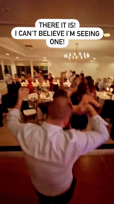 Similar to a Bigfoot sighting! 🤣
.
.
.
carolsarlasorchestra
lakegenevawedding
lakedelevanwedding
lakegenevaweddingband
lakegenevaweddingentertainment
lakegenevaentertainment
lakegenevaband
danceallnight
chicagoweddingband
chicagoweddingbands
chicagoentertainment
chicagolivemusic
lakegenevaweddingplanner
lakegenevaeventplanner
luxuryweddings
luxurywedding
chicagocoverband
weddingreception
congaline