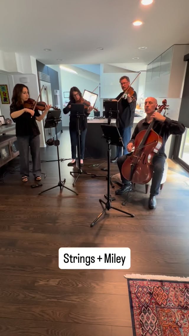 Pop string quartet goes Wrecking Ball 

chicagostringquartet popstringquartet popstrings stringquartet chicagoentertainment