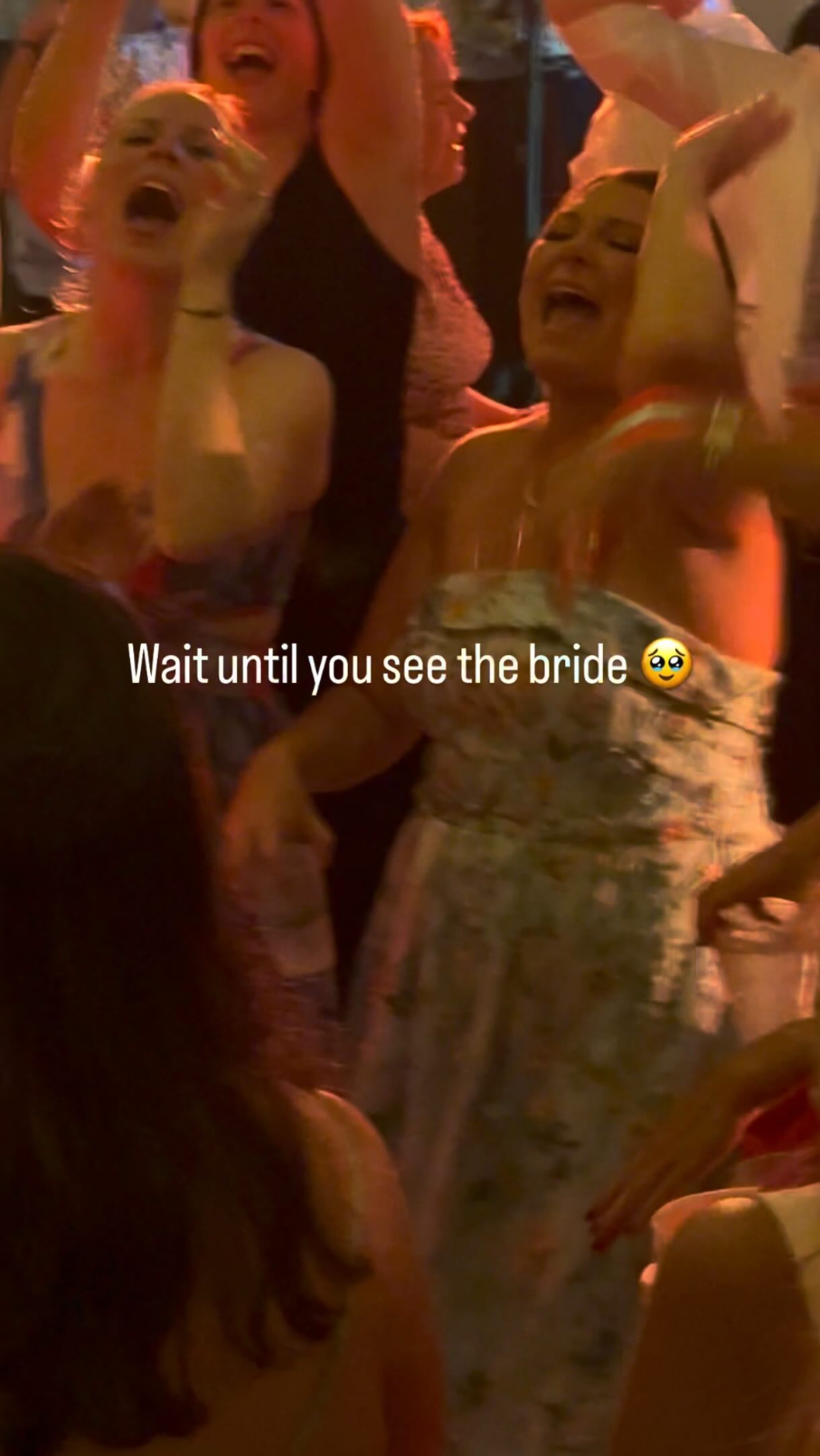 Every couple has a few songs that tell their story.
This was hers.
This is why we always say yes to special requests. By the time the chorus hit, the entire room lost it—and watching the bride take in that moment is something we’ll never forget 🤍

Venue @pier_290 
Planning @lakeside.bride @jennabrookepenkalski 
Floral @lilypotsevents 

lakegenevawedding chicagowedding weddingreception chicagoweddingband weddinginspiration